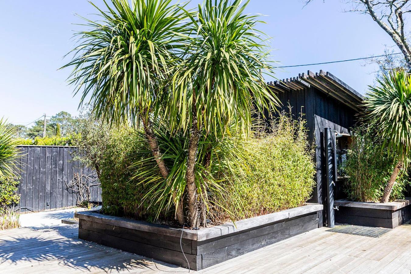 Beach House Lege-Cap-Ferret Exterior photo